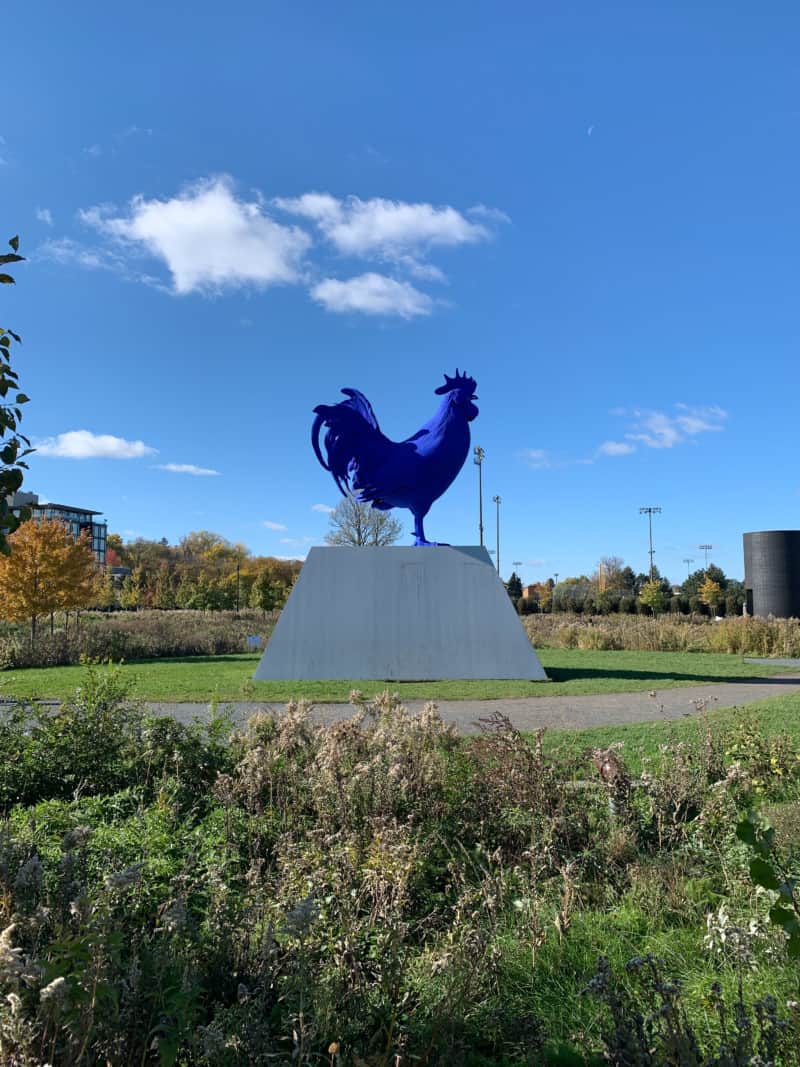A large sculpture of a blue colored rooster in the outdoor Sculpture Garden in Minneapolis, Minnesota
