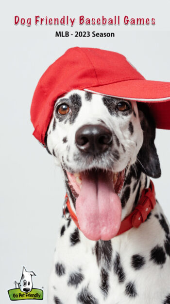 Bark at the Park: Dog-Friendly MLB Games to Sniff Out
