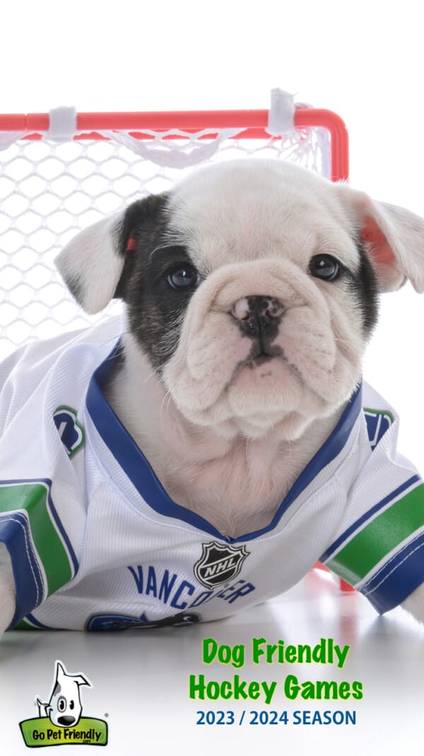 All Star Dogs: Syracuse Crunch Pet Products