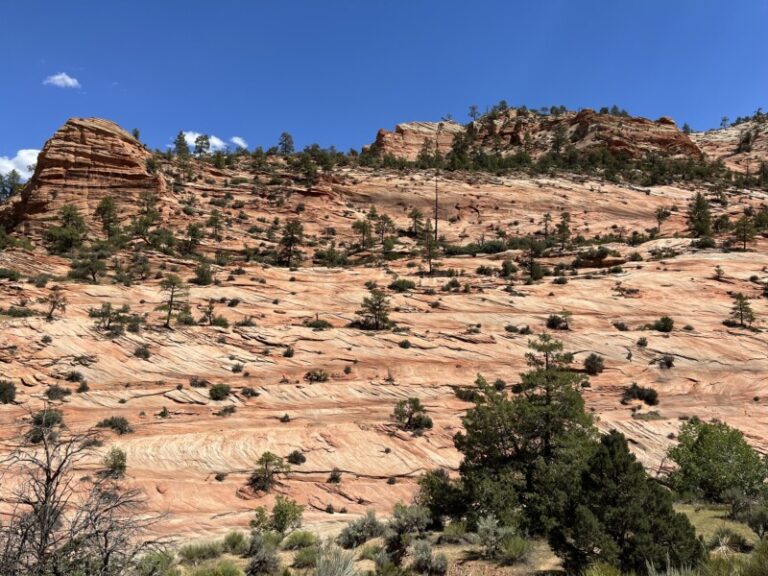 Visiting Zion National Park With Pets | GoPetFriendly